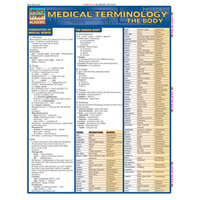 Medical Terminology The Body