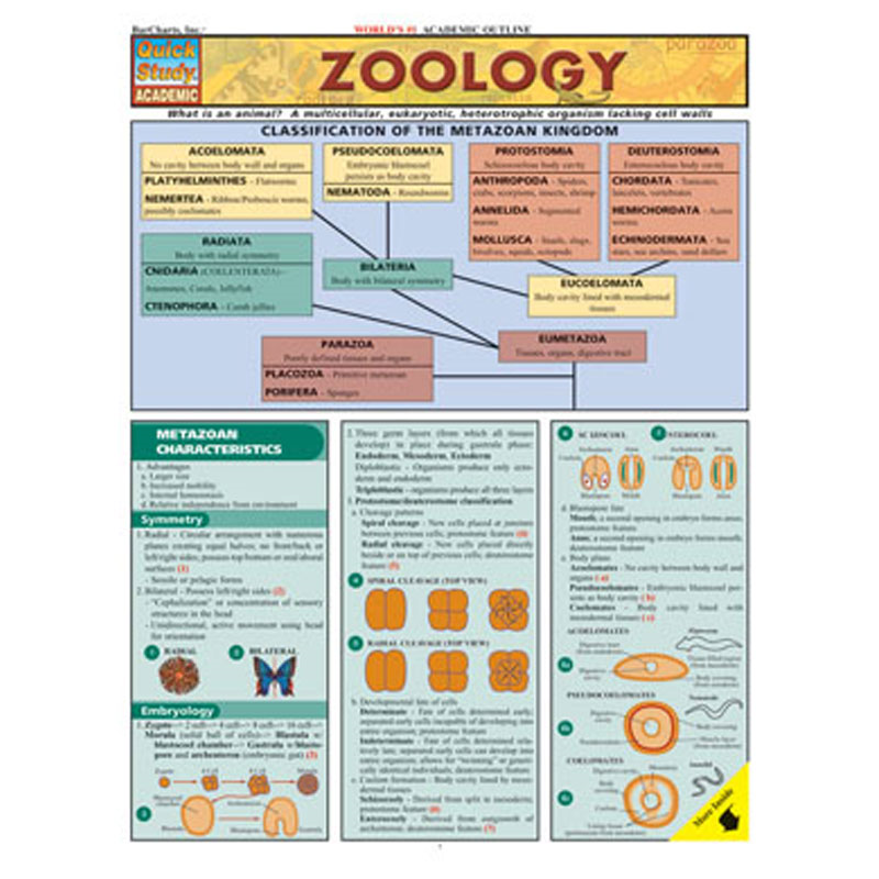 Zoology (SKU 10019726145)