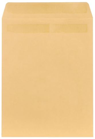 Envelopes, Catalog, 10 X 13, Gummed
