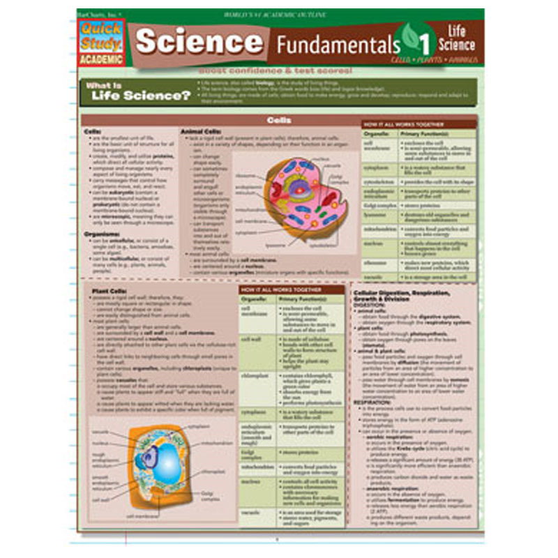 Science Fundamentals 1 (SKU 10317457145)