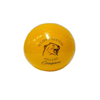 Basketball Spirit Products 4" Gold With Royal Icc Cougars