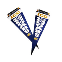 Icc Pennant 24" Cougars Royal & Gold