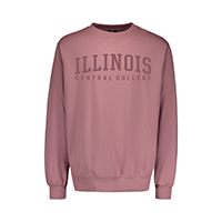 Sweatshirt Crew Illinois Cc Tonal