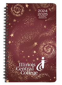 PLANNER STARLIGHT ACADEMIC 2024-2025