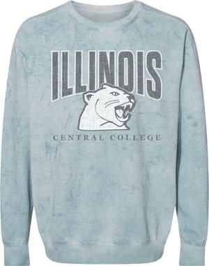 Sweatshirt Crew Colorblast Cougar