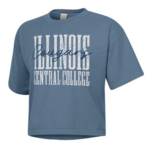 Tshirt Crop Ladies Distressed Boxy Tee